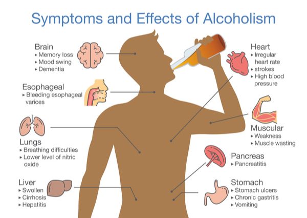 Does Alcohol Kill Good Bacteria?