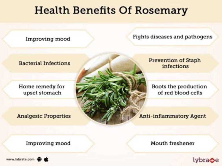 Is Rosemary A Stimulant?