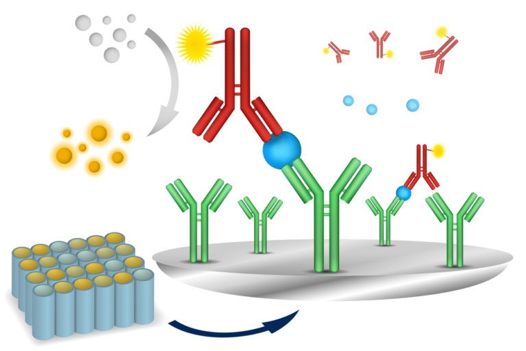 What is an Immunoassay Drug Test?