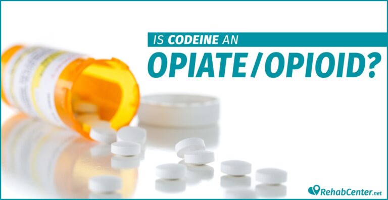 Is Codine an Opiate?