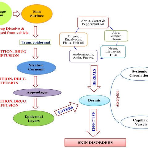 What Drugs Can Be Absorbed Through the Skin