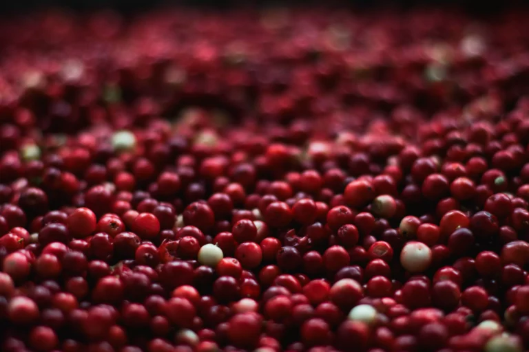 Does Cranberry Juice Help You Pass a Drug Test?