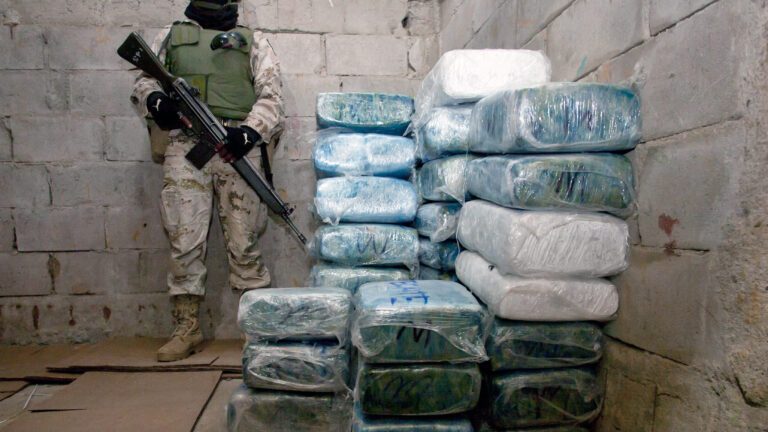 What Are Drug Cartels?