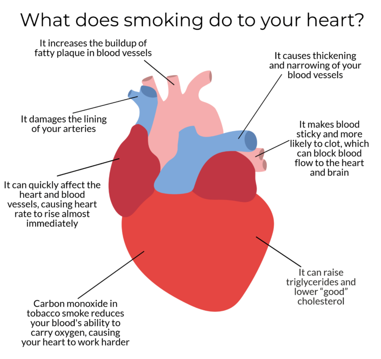 What Does Nicotine Do to Your Heart?