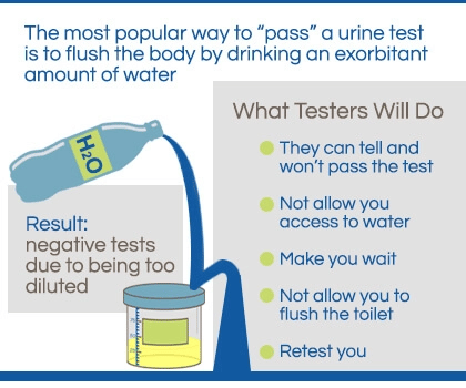 How to Pass a Urine Drug Screen?