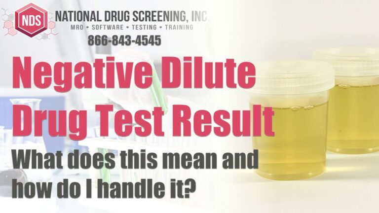 What is a Negative Dilute Drug Test?