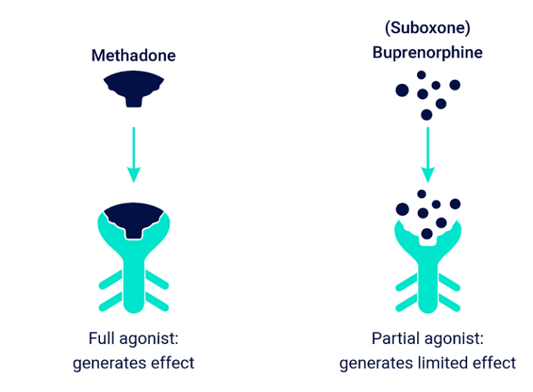 Does Methadone Have an Opiate Blocker?