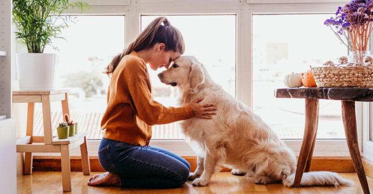 How Pets Help Mental Health?